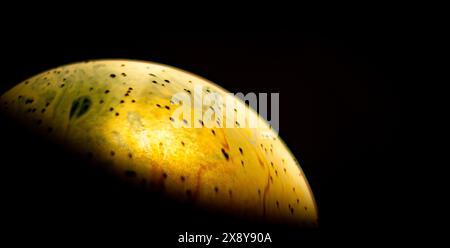 Virtual reality space with abstract multicolor psychedelic planet. Close up soap bubble like an alien planet on black background Stock Photo
