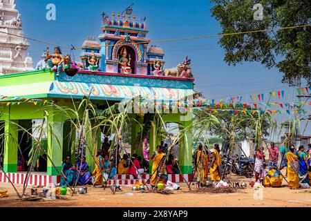 India, Tamil Nadu, Pongal Festival in a village near Madurai Stock Photo