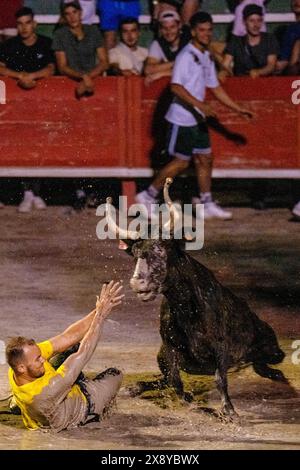 France, Gard, Aigues-Vives, local festival, playing with a bull in a fun swimming pool in a bullring Stock Photo