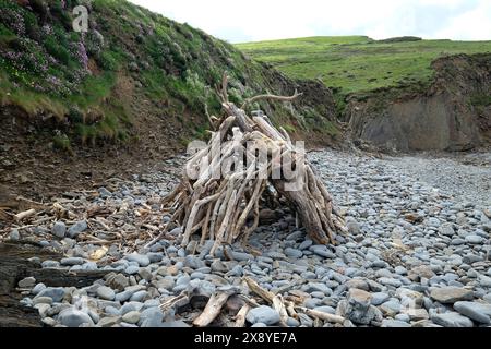 hartland abbey beach, north devon, england Stock Photo