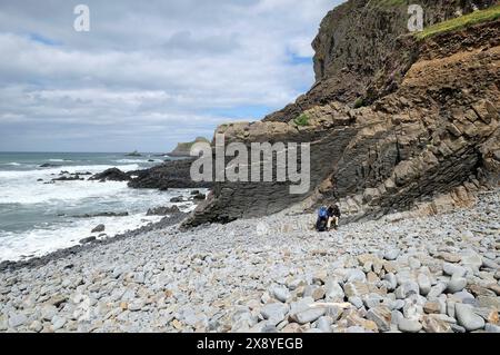 hartland abbey beach, north devon, england Stock Photo