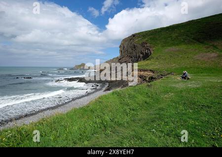 hartland abbey beach, north devon, england Stock Photo