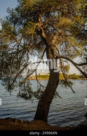 Alcanada lighthouse in Alcanada Island, Alcudia, Majorca, Balearic Islands, Spain Stock Photo