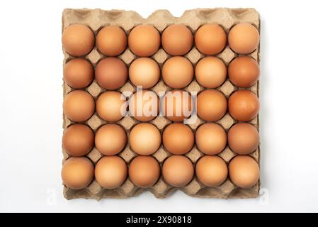Top view of Brown and speckled chicken eggs in the cardboard egg tray with rooms for thirty eggs isolated on white background, with clipping path Stock Photo