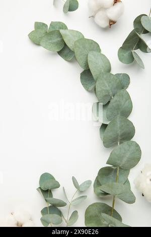 Flowers composition. Cotton flowers and eucalyptus branches on light background. Top view Stock Photo