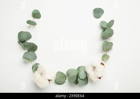 Flowers composition. Cotton flowers and eucalyptus branches on light background. Top view Stock Photo