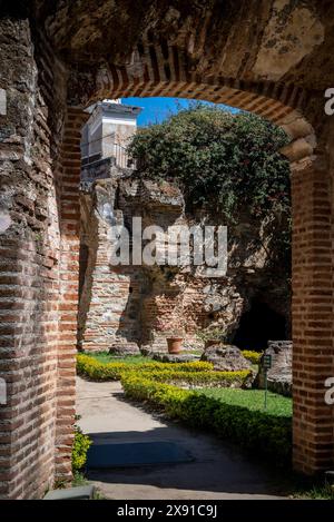 Ruins of convent of San Francisco el Grande, a Franciscan convent completed at the beginning of 18th century and destroyed in the 1773 earthquake, Ant Stock Photo
