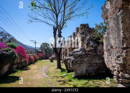 Ruins of convent of San Francisco el Grande, a Franciscan convent completed at the beginning of 18th century and destroyed in the 1773 earthquake, Ant Stock Photo