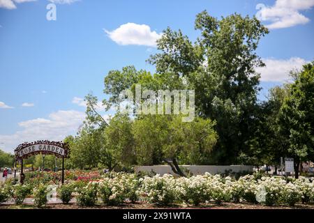 The Rose Garden at MCC - Mesa Community College Stock Photo