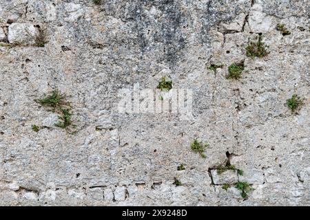 Texture of an old wall made from stone Stock Photo