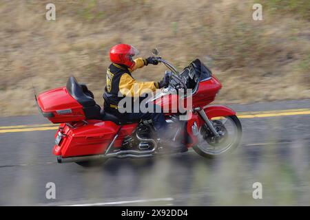 Unidentified man shown riding a Harley Davidson motorbike. Stock Photo