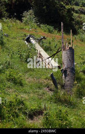A roadside casualty of a driving accident with a heavy vehicle having hit a telegraph pole and snapped it knocking the top part over. Stock Photo