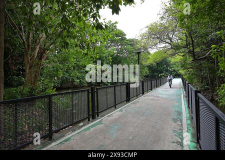 Suan Rot Fai, the largest of the 3 parks at Chatuchak in the north of Bangkok, is popular among local cyclists for its winding 3km track Stock Photo