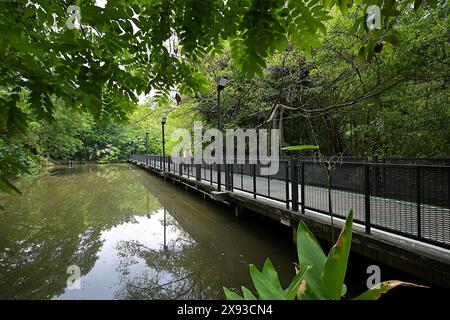Cycling track running above one of the many ponds at Suan Rot Fai, the largest of the 3 parks in the Chatuchak Park complex in Bangkok, Thailand Stock Photo