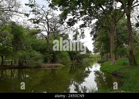 Tranquil setting at Suan Rot Fai, the largest of the 3 parks in the Chatuchak Park complex in the north of Bangkok, Thailand Stock Photo
