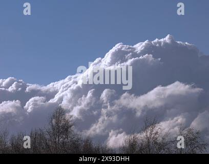 Cumulus clouds. Cumulus clouds are stacks of smaller clouds piled onto each other and often look puffy, cotton-like or fluffy. They usually have flat bottoms and clearly defined edges. Their name stems from the Latin word 'cumulo', which means pile or heap. They are low-level clouds, generally found 2000 metres above the ground. They appear in the sky frequently and are observed all over the world. Stock Photo