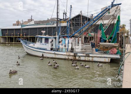 Commercial fishing boats docked next to Katie's Seafood House on the Galveston Channel in Glaveston, Texas Stock Photo