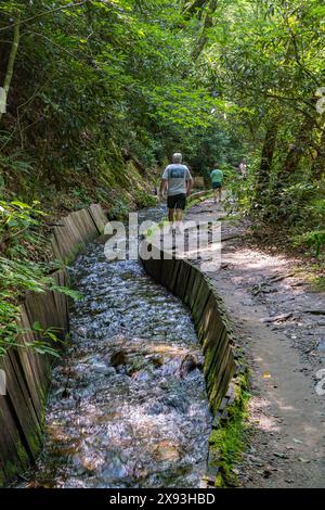 Water diverted from Mingus Creek flows to power the Mingus Mill in Great Smoky Mountains National Park near Cherokee, North Carolina Stock Photo