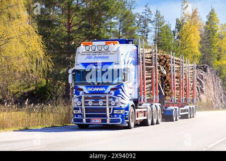 Customised Scania logging truck of Kuljetusliike Niko Gustafsson pulls log load on highway on a sunny day of spring. Salo, Finland. May 8, 2024. Stock Photo