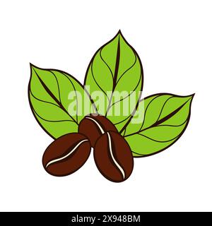 Coffee beans on coffee leaves, doodle stylized coloring drawing on white background. Logo, icon. Vector illustration Stock Vector