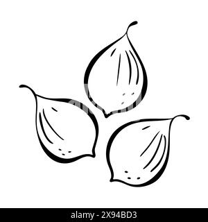 Fruit fig stylized contour doodle drawing, logo icon, isolated on white background. Vector illustration Stock Vector