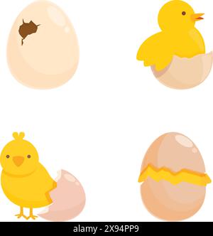 A fourstage illustration of a cute chick emerging from its egg Stock Vector