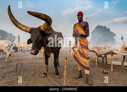 Mundari man with a Kalashnikov posing with a bull with giant horns, Mundari tribe, South Sudan, Africa Stock Photo