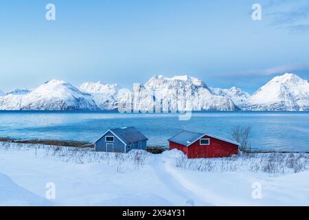 Two colorful rorbu standing on the shore of the fjord and snowy mountain in the background in winter, Djupvik, Olderdalen, Lyngen fjord, Norway Stock Photo