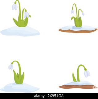 The beautiful transition of seasons with snowdrops blooming in the winter and spring, signifying the melting of snow and the emergence of new life in the natural environment Stock Vector