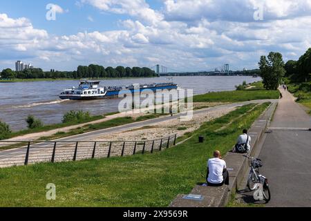 banks of the river Rhine at Oberlaender Werft, in the background the Rodenkirchener bridge, Cologne, Germany. Rheinufer an der Oberlaender Werft, im H Stock Photo