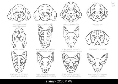 Dog head Silhouettes in alphabet order. All dog breeds. Simple line vector design. Vector illustration Stock Vector