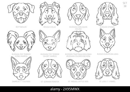 Dog head Silhouettes in alphabet order. All dog breeds. Simple line vector design. Vector illustration Stock Vector