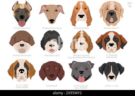 Dog head in alphabet order. All dog breeds. Colour vector design. Vector illustration Stock Vector