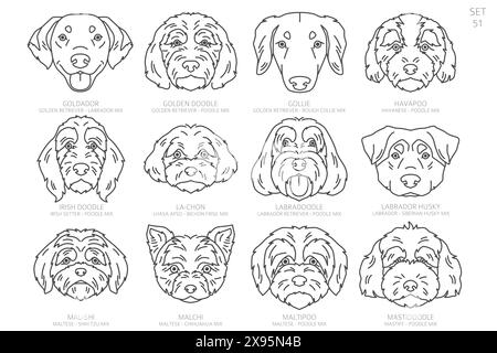 Designers Dog head Silhouettes in alphabet order. All dog mix breeds. Simple line vector design. Vector illustration Stock Vector