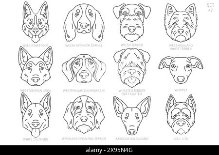 Dog head Silhouettes in alphabet order. All dog breeds. Simple line vector design. Vector illustration Stock Vector