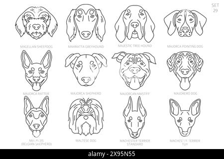 Dog head Silhouettes in alphabet order. All dog breeds. Simple line vector design. Vector illustration Stock Vector