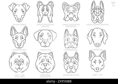 Dog head Silhouettes in alphabet order. All dog breeds. Simple line vector design. Vector illustration Stock Vector