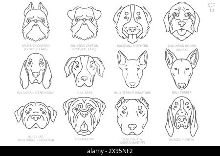 Dog head Silhouettes in alphabet order. All dog breeds. Simple line vector design. Vector illustration Stock Vector