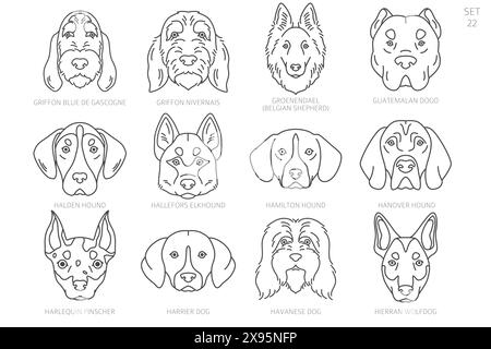 Dog head Silhouettes in alphabet order. All dog breeds. Simple line vector design. Vector illustration Stock Vector
