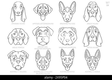 Dog head Silhouettes in alphabet order. All dog breeds. Simple line vector design. Vector illustration Stock Vector