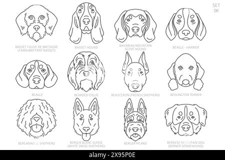 Dog head Silhouettes in alphabet order. All dog breeds. Simple line vector design. Vector illustration Stock Vector