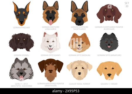 Dog head in alphabet order. All dog breeds. Colour vector design. Vector illustration Stock Vector