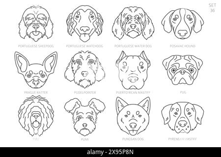 Dog head Silhouettes in alphabet order. All dog breeds. Simple line vector design. Vector illustration Stock Vector