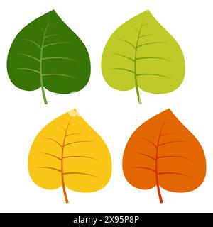 Set of green, yellow and red leaves isolated on white background. Vector illustration of autumn leaves. Stock Vector