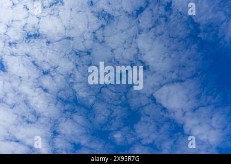 Fleecy clouds with blue sky, Texture background Stock Photo
