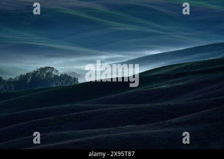 Field waves with fog, landscape in Tuscany, near the Siana and Pienza. Sunrise morning in Italy. Idyllic view on hilly meadow in Tuscany in beautiful Stock Photo