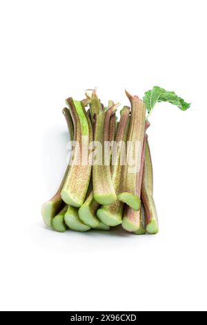 Fresh  green rhubarb stem isolated on white Stock Photo