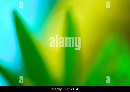 Healing colors abstract defocused leaves nature blue and green background. Calming colors for spring and summer. Stock Photo
