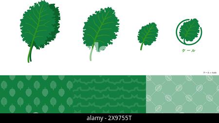 Kale illustrations and icons and patterns set. Stock Vector