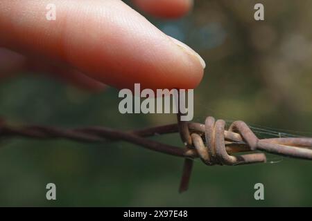 Close-up of a woman stabbing her finger with rusty barbed wire Stock Photo